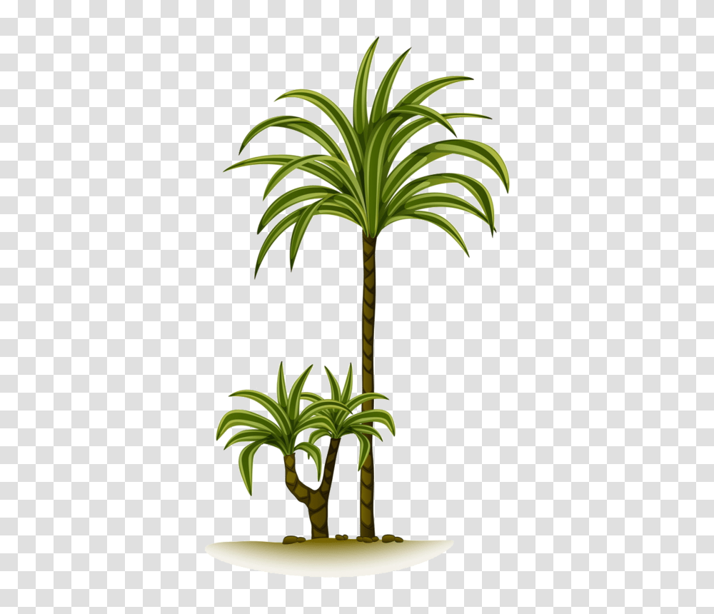 Trees Tree Of Life, Palm Tree, Plant, Arecaceae, Flower Transparent Png