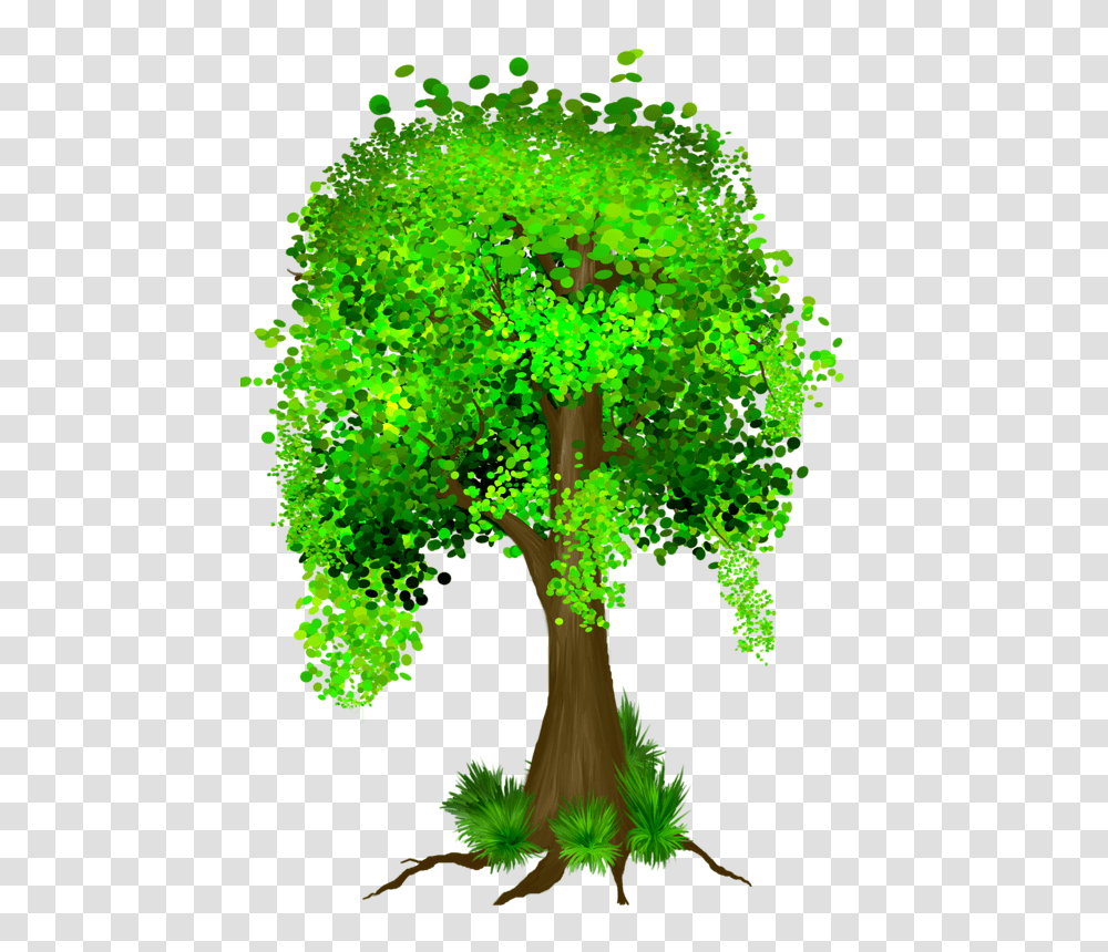 Trees Tree Of Life Trees, Plant, Vegetation, Broccoli, Vegetable Transparent Png