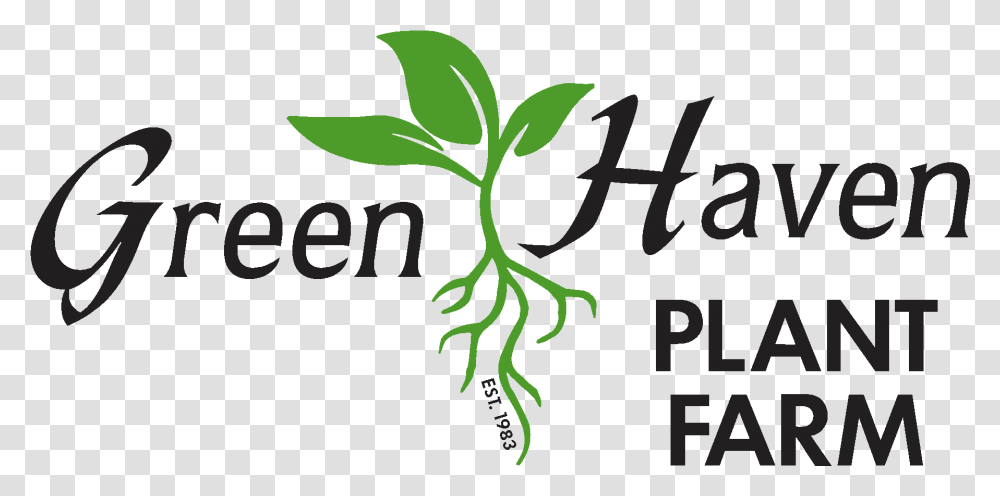Trees & Shrubs - Green Haven Plant Farm Illustration, Potted Plant, Vase, Jar, Pottery Transparent Png
