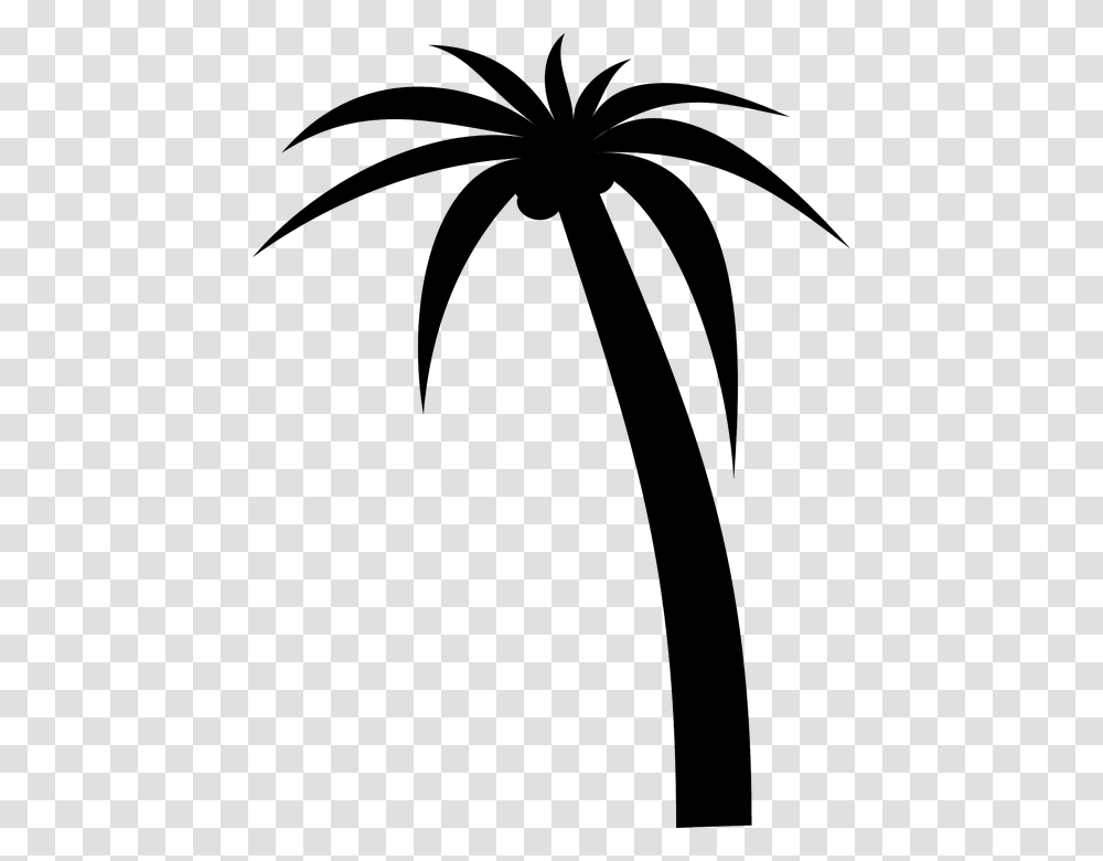 Trees Vector Graphics Pixabay Free Images Vector Green Coconut Tree, Outdoors, Nature, Night, Fireworks Transparent Png