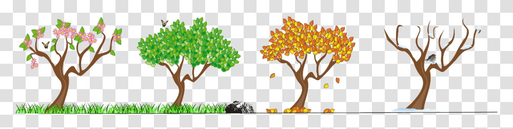 Trees Vector Image School Seasons, Bush, Vegetation, Plant, Plot Transparent Png
