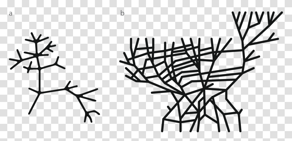 Trees Vs Networks The Graph Medium, Nature, Outdoors, Spider Web Transparent Png