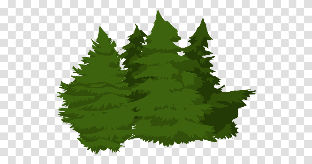 Trees Woods Pines Free Vector Graphic On Pixabay Woods, Plant, Fir, Abies, Conifer Transparent Png