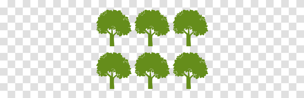 Treescharlotte Helps Educate Kids Tree, Plant, Green, Vegetation, Vegetable Transparent Png