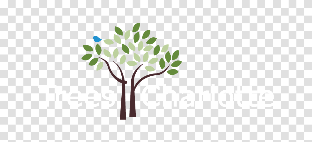 Treescharlotte Tree Canopy Conservation Charlotte Nc Nonprofit, Plant, Logo Transparent Png