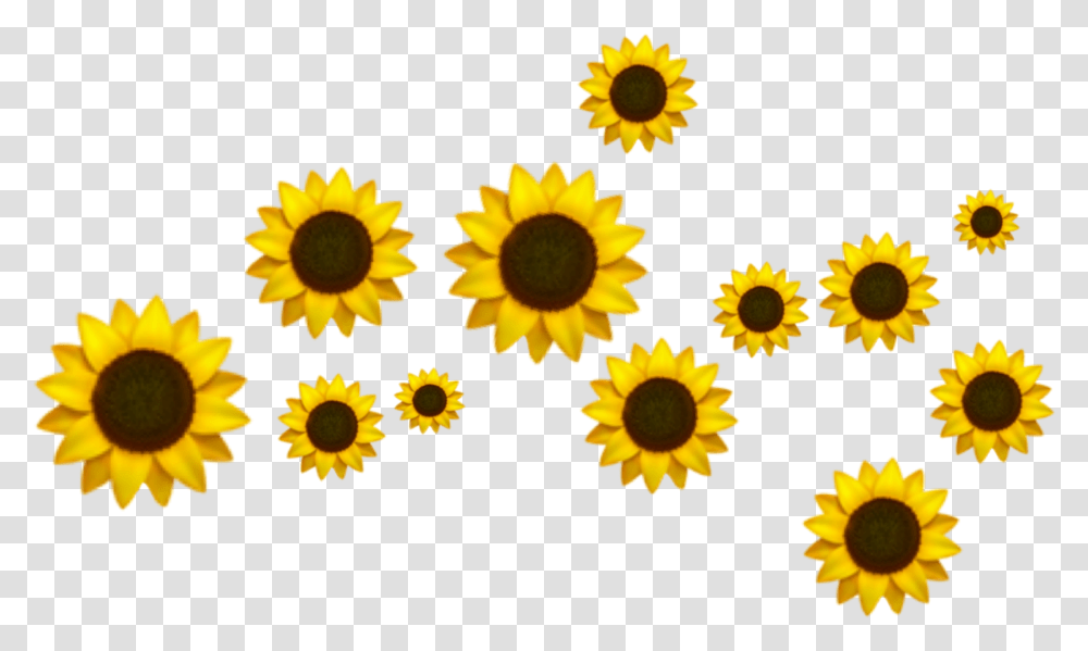 Trend Background Crown Tumblr Doodles Sunflower Emoji, Plant, Blossom, Petal, Daisy Transparent Png
