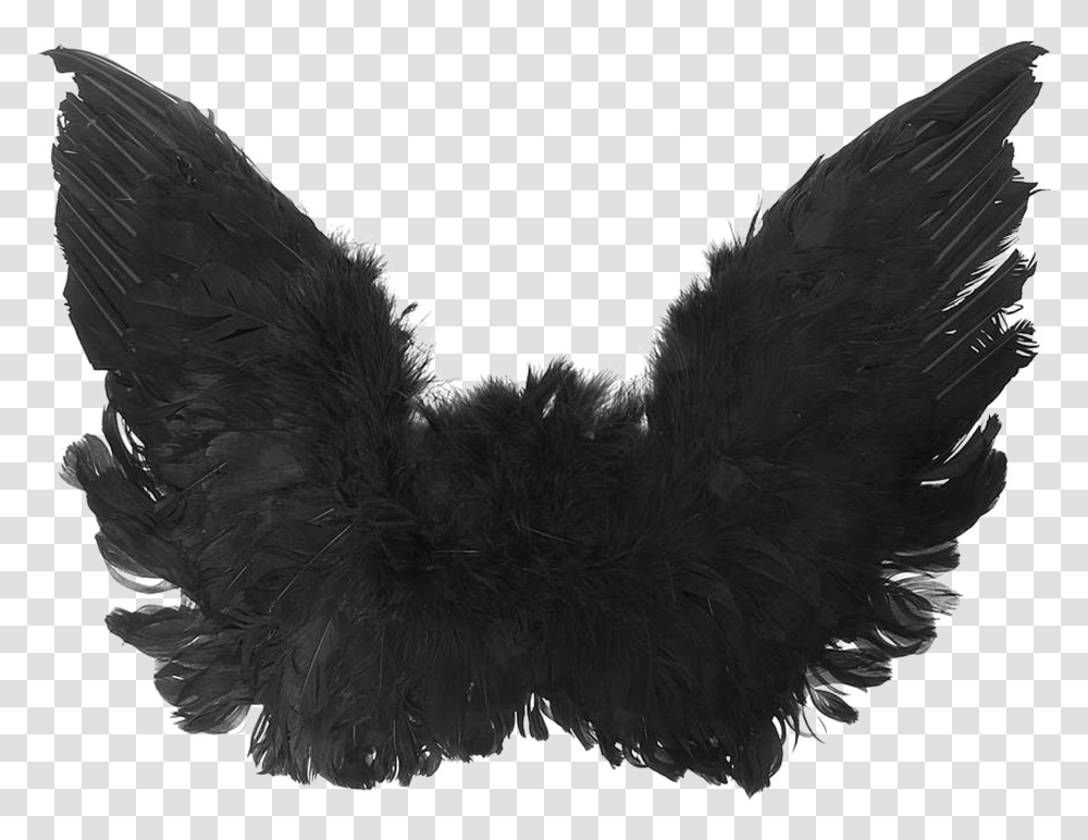Trend Black Angel Wings High Quality Image Vector Black Angel Wings, Apparel, Bird, Animal Transparent Png