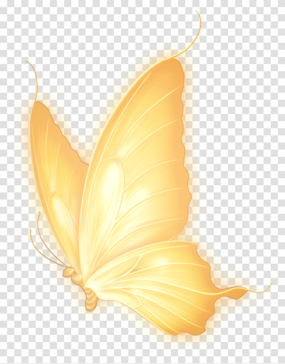 Trending Yellow Butterfly Aesthetic Neon, Invertebrate, Animal, Insect, Banana Transparent Png