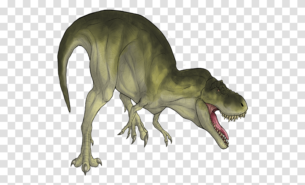 Trex, Dinosaur, Reptile, Animal, T-Rex Transparent Png
