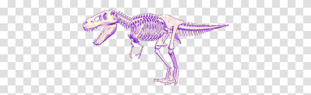 Trex Images Tyrannosaurus Rex, Skeleton Transparent Png