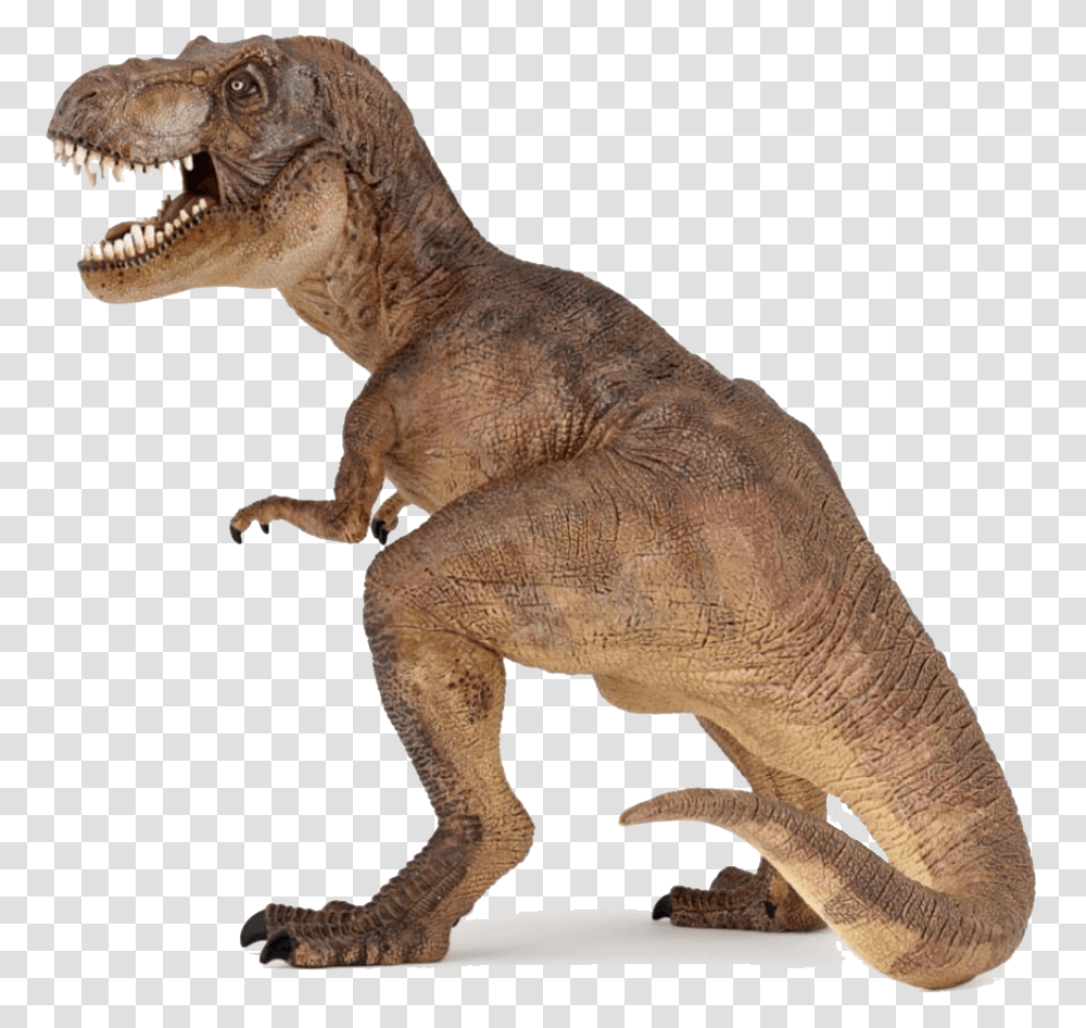 Trex, T-Rex, Dinosaur, Reptile, Animal Transparent Png