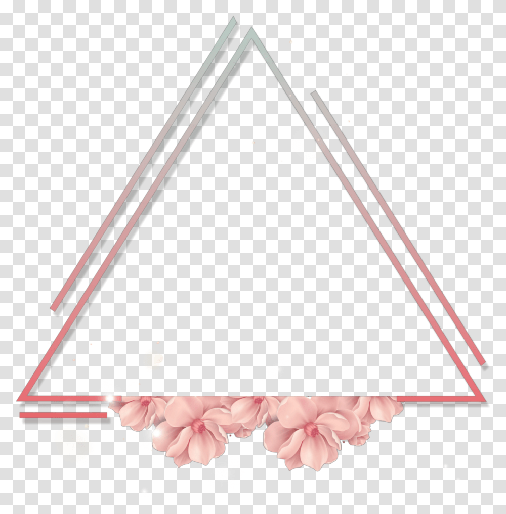 Triangle Frame Flower Pink Rose Neon Figures Transparent Png