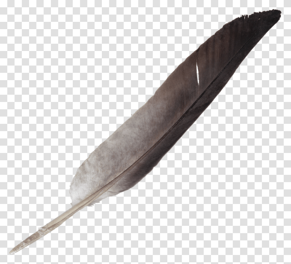 Tribal Feather Background Feather Pen, Bottle, Ink Bottle, Leaf, Plant Transparent Png