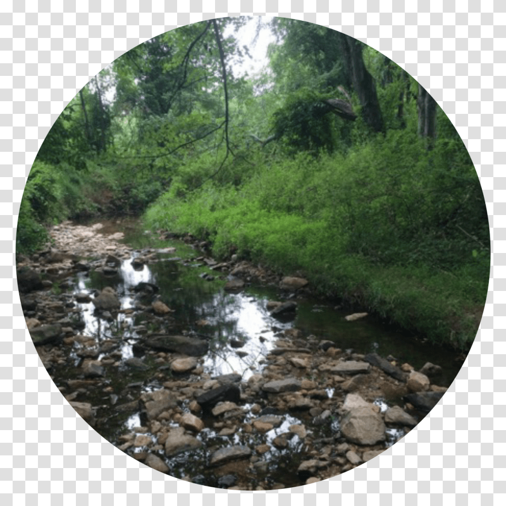 Tributary, Water, Nature, Creek, Stream Transparent Png