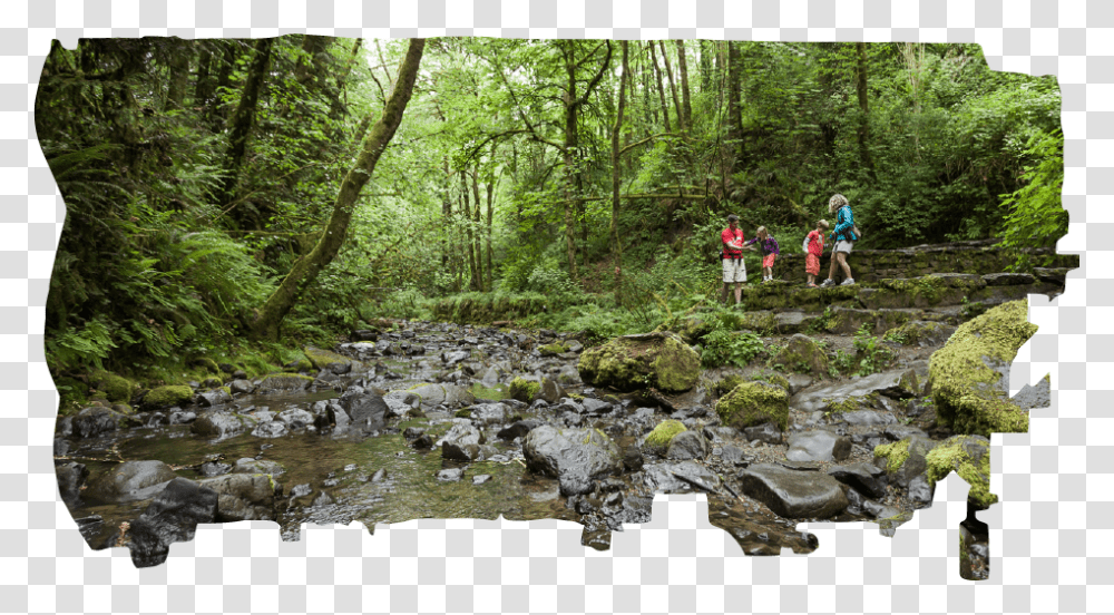 Tributary, Water, Nature, Outdoors, Person Transparent Png
