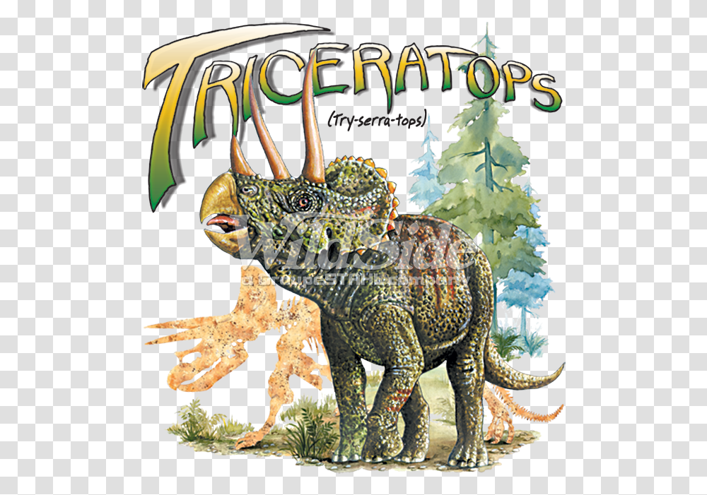 Triceratops, Animal, Dinosaur, Reptile, Poster Transparent Png