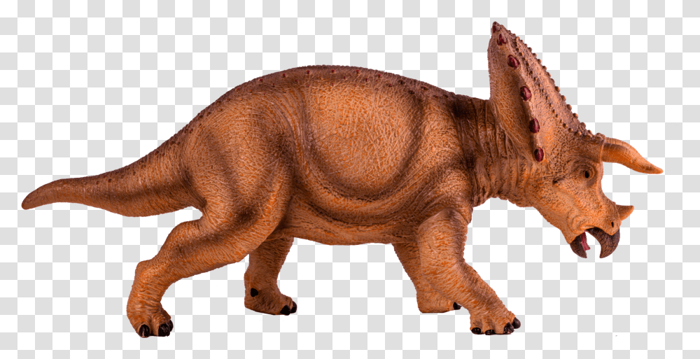 Triceratops, Animal, Mammal, Aardvark, Wildlife Transparent Png