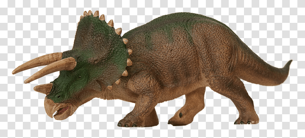 Triceratops, Animal, Mammal, Wildlife Transparent Png