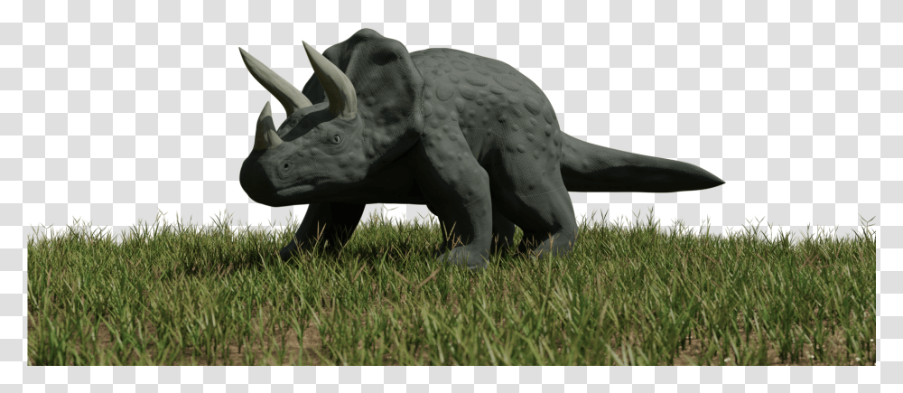 Triceratops, Dinosaur, Reptile, Animal, Mammal Transparent Png