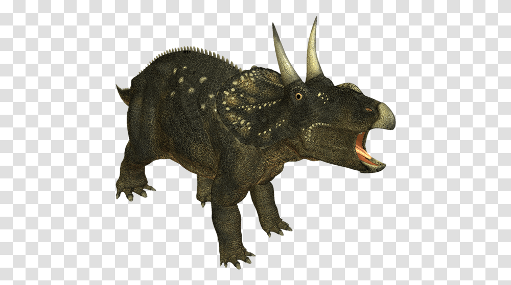 Triceratops, Dinosaur, Reptile, Animal, T-Rex Transparent Png