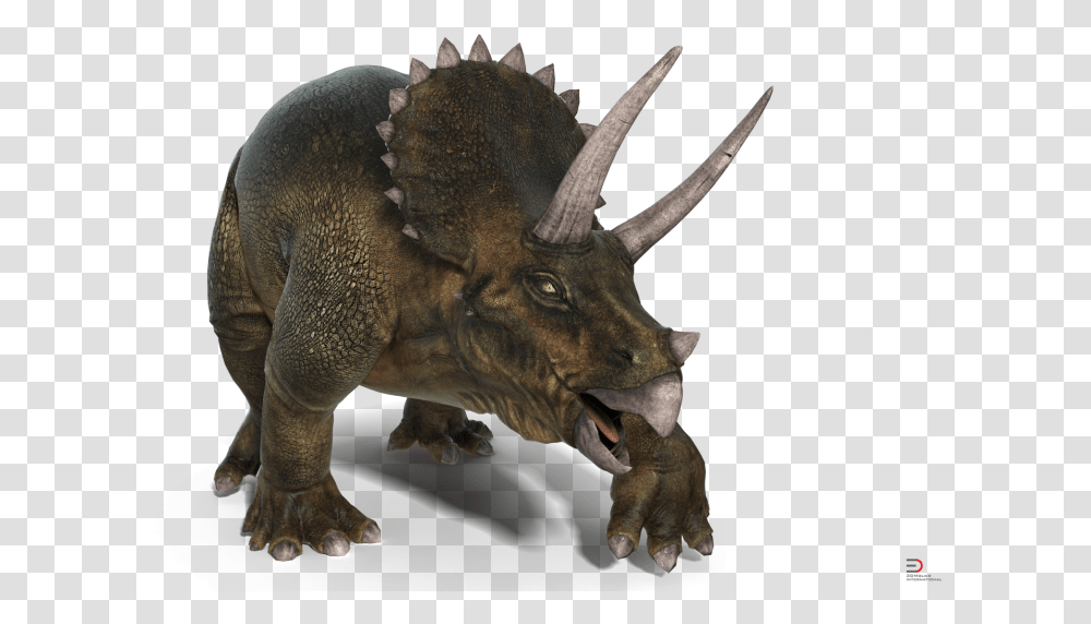 Triceratops, Dinosaur, Reptile, Animal, T-Rex Transparent Png
