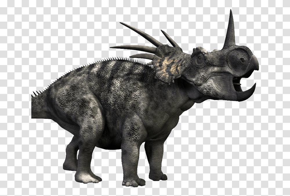 Triceratops, Dinosaur, Reptile, Animal, T-Rex Transparent Png