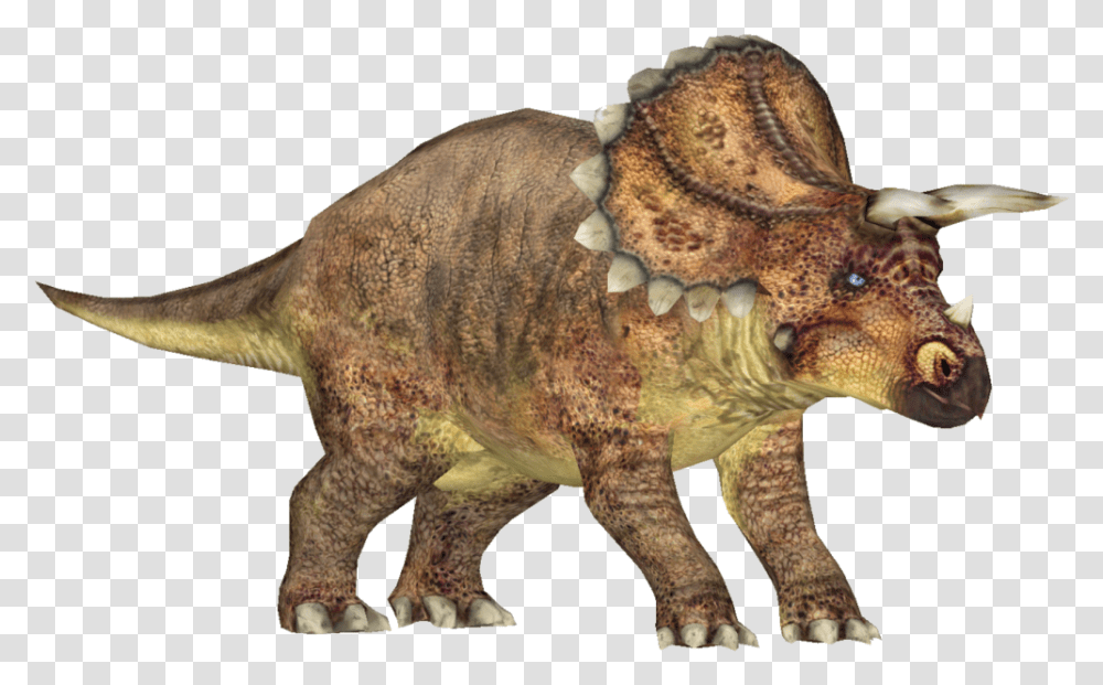 Triceratops, Dinosaur, Reptile, Animal, T-Rex Transparent Png