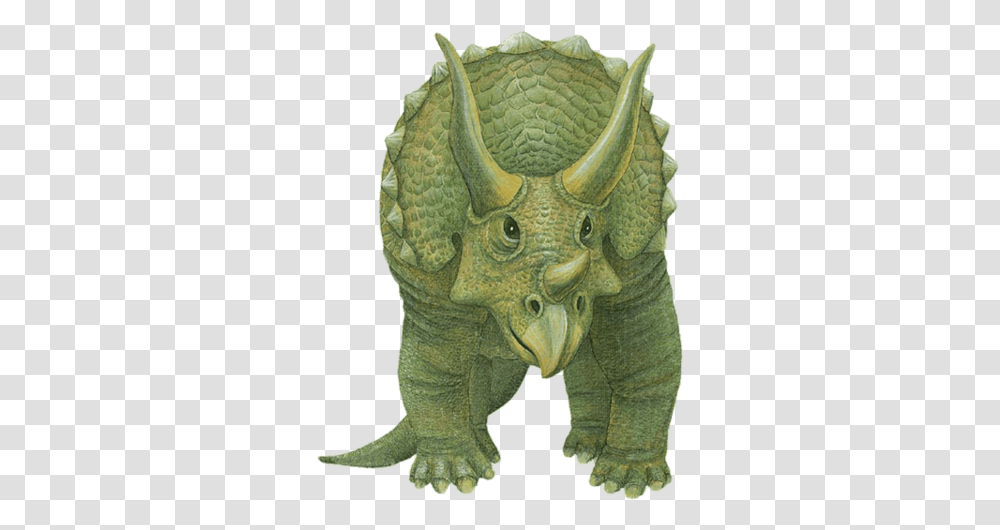 Triceratops Front View Front View Of Dinosaur, Bronze, Animal, Mammal, Figurine Transparent Png