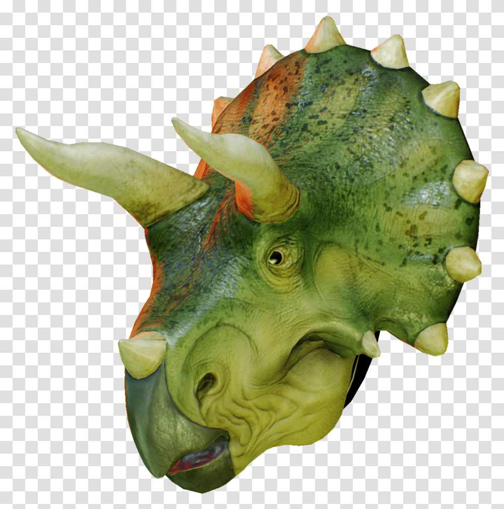 Triceratops Head, Animal, Invertebrate, Sea Life, Reptile Transparent Png