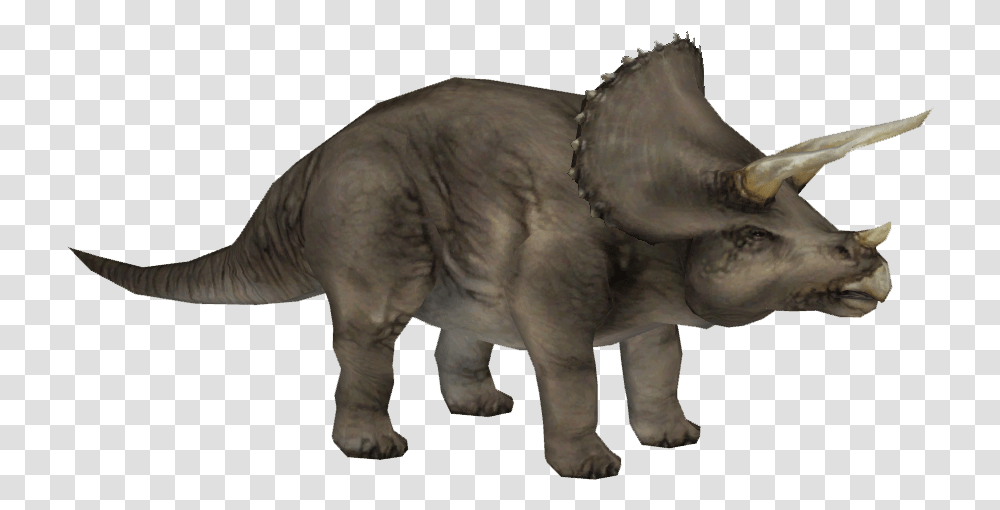 Triceratops Jpog Zt2 Torosaurus, Elephant, Wildlife, Mammal, Animal Transparent Png