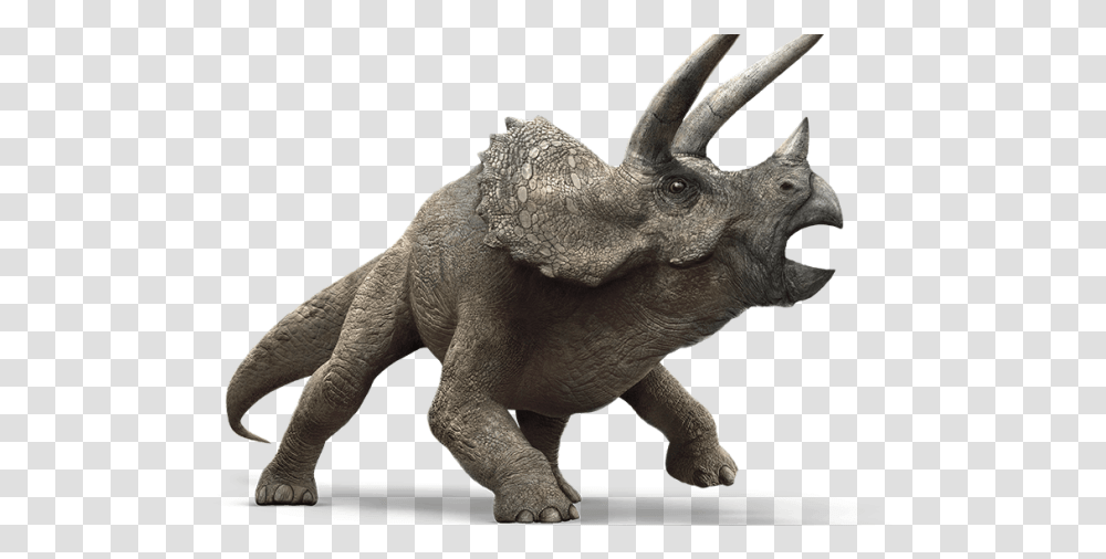 Triceratops Jurassic World, Dinosaur, Reptile, Animal, Elephant Transparent Png