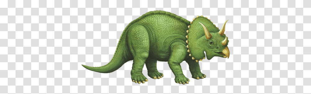 Triceratops Side View Triceratops Verde, Animal, Reptile, Dinosaur, Green Transparent Png