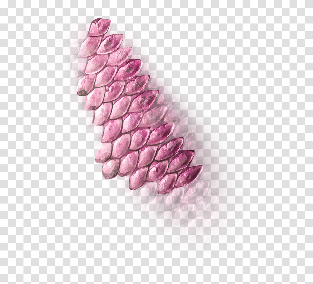 Trickswalaa Ps•• Fish Scales Fish Scales Pink, Plant, Diamond, Gemstone, Jewelry Transparent Png