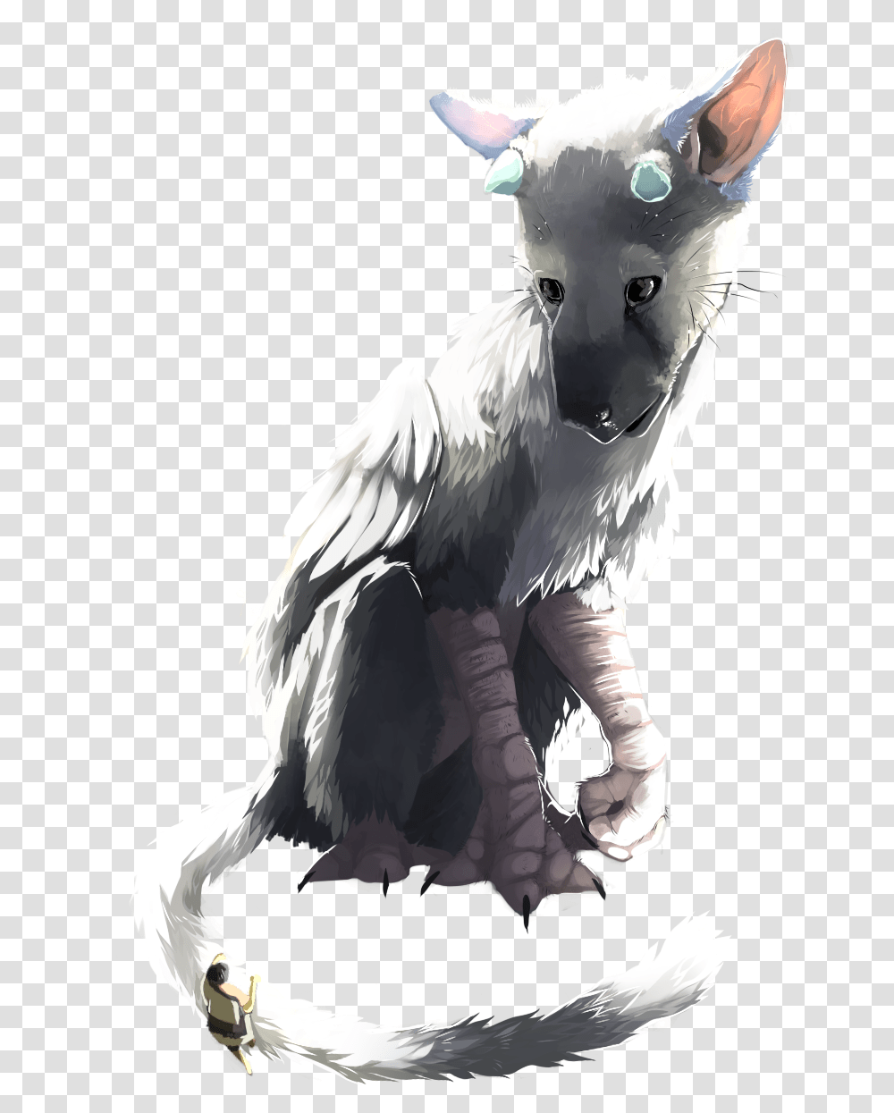 Trico The Last Guardian, Bird, Animal, Wolf Transparent Png