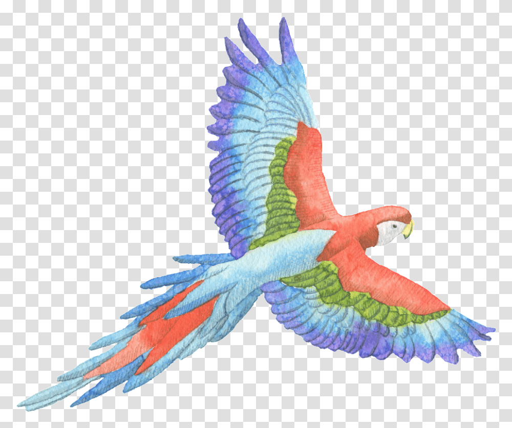 Tricolor Parrot Watercolor Decorative Pattern William Blake Zitate, Animal, Bird, Macaw Transparent Png