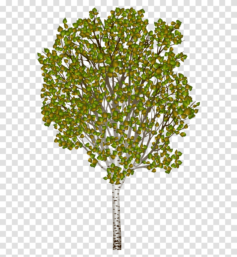 Trigger Rally Discussion Open River Birch, Plant, Tree, Fungus, Flower Transparent Png