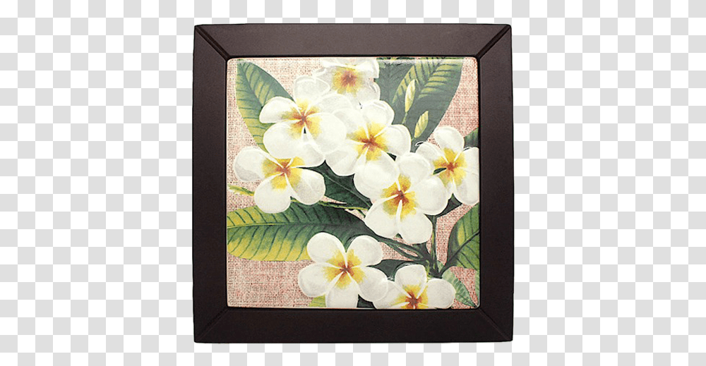 Trillium, Canvas, Plant, Flower Transparent Png