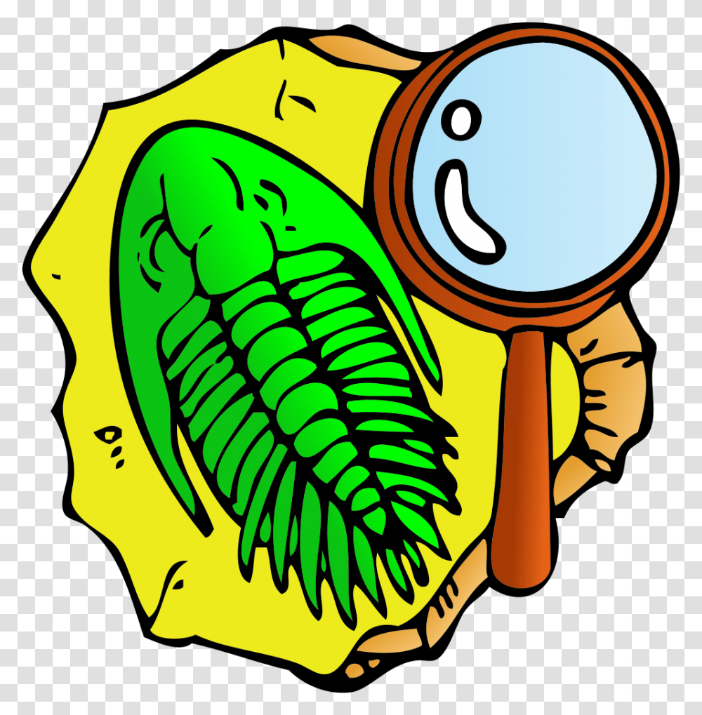 Trilobite Clipart Vector, Food Transparent Png