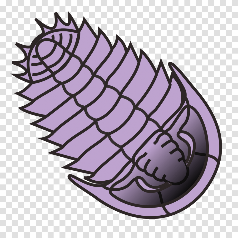 Trilobite For Portal, Lamp, Bonfire, Flame, Flea Transparent Png