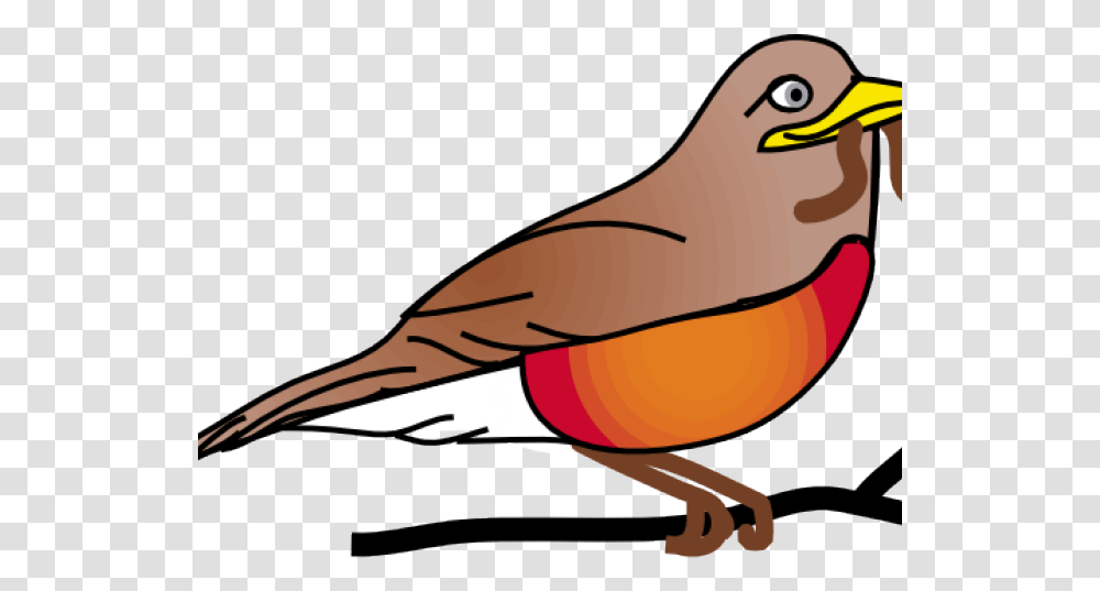 Trinidad Flag American Robin Clipart North Bird Red Robin Clip Art, Animal, Beak, Waterfowl, Duck Transparent Png