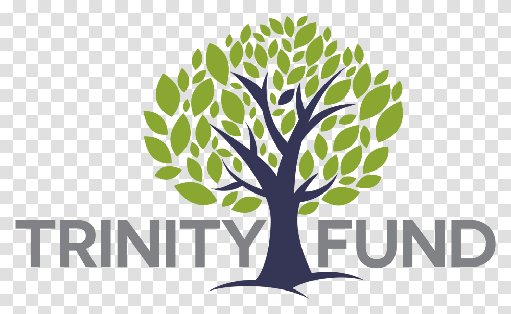 Trinity Episcopal School Language, Plant, Tree, Tree Trunk, Leaf Transparent Png