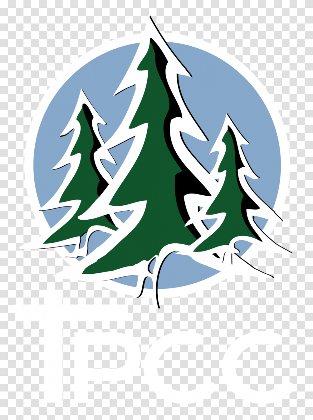Trinity Pines Conference Center, Tree, Plant, Poster, Advertisement Transparent Png