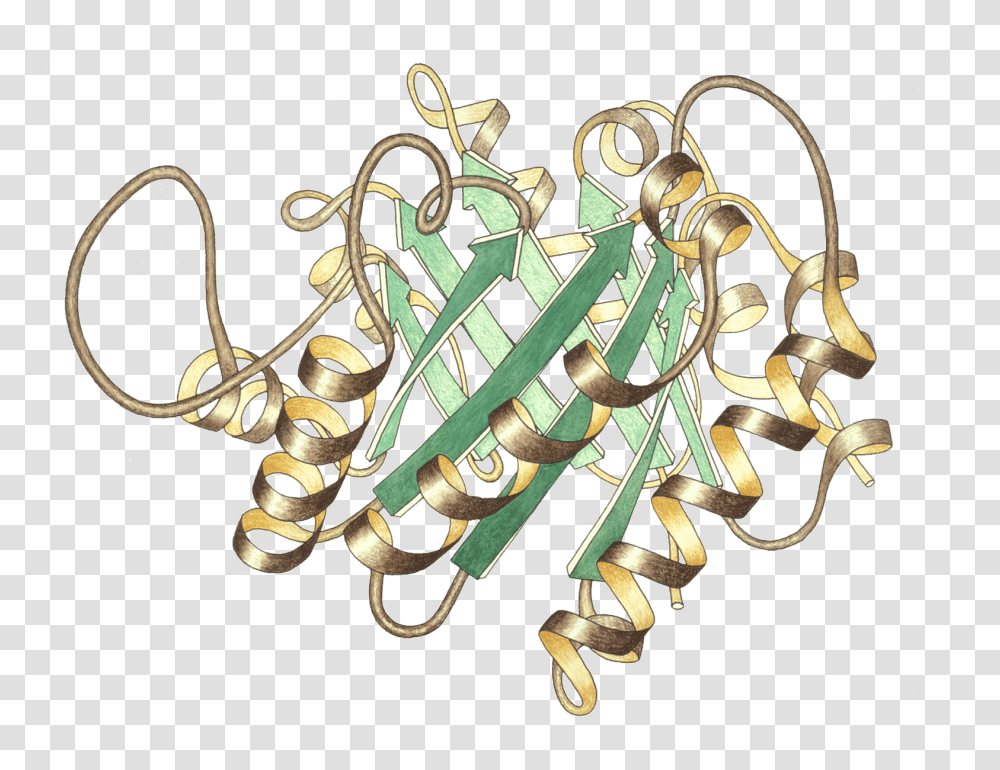 Triosephosphateisomerase Ribbon Pastel Trans, Accessories, Accessory, Jewelry, Tiara Transparent Png