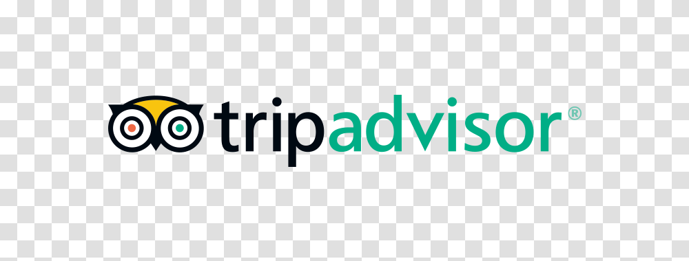 Tripadvisor Jobs And Company Culture, Word, Logo Transparent Png