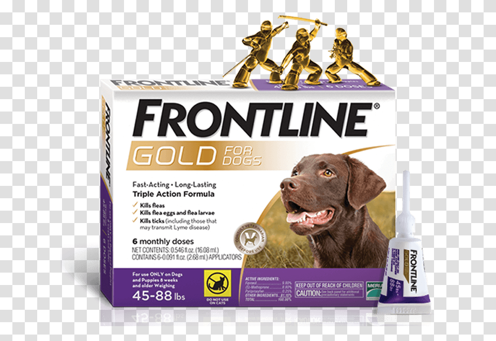 Triple Action Topical Flea & Tick Treatment For Dogs Cats Frontline Gold For Dogs, Poster, Advertisement, Flyer, Paper Transparent Png