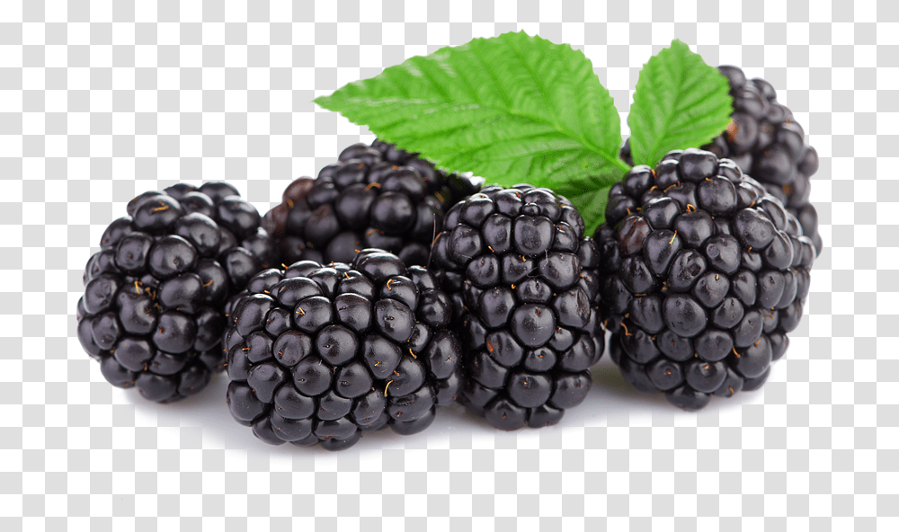 Triple Crown Blackberries Spooner Berries Spooner Farms Blackberries, Plant, Fruit, Food, Raspberry Transparent Png