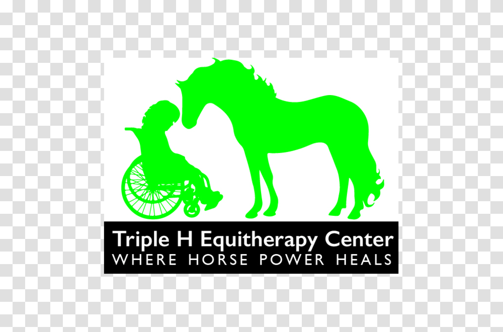 Triple H Equitherapy Center, Horse, Mammal, Animal Transparent Png