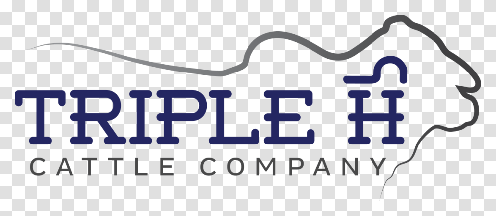 Triple H Logo Coconut, Label, Word Transparent Png