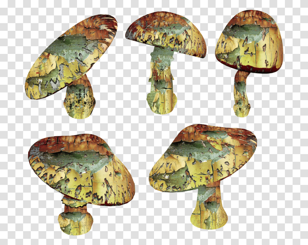 Trippy Mushroom Shiitake, Fungus, Rust, Animal, Photography Transparent Png