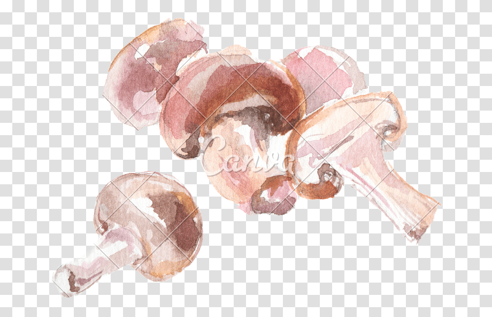 Trippy Mushroom Watercolor Painting, Fungus, Ear, Clam, Invertebrate Transparent Png